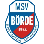 354_msvb